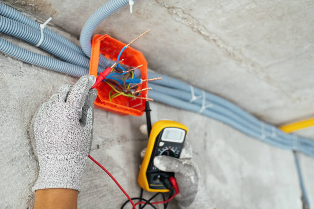 Best Ceiling Fan Installation Electrician  in Roy, UT